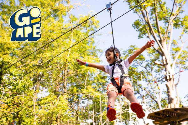 A child swining on the zip line through the trees in Go Ape