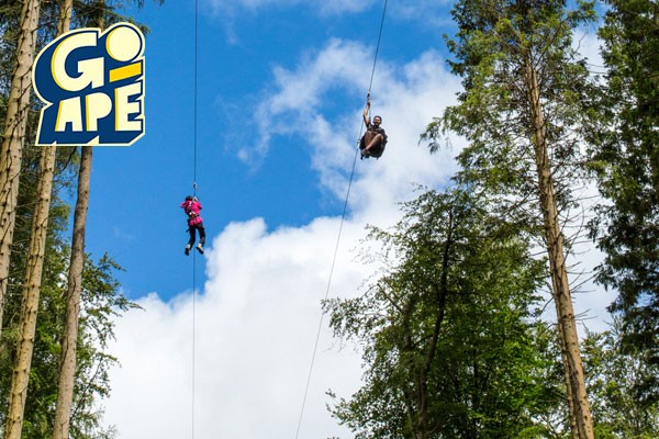 Two People on the Zip Line at Go Ape in the Lake District
