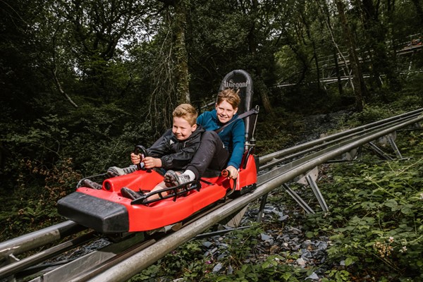 Zip World Fforest Coaster Shared Sled Ride – Adult and Child 