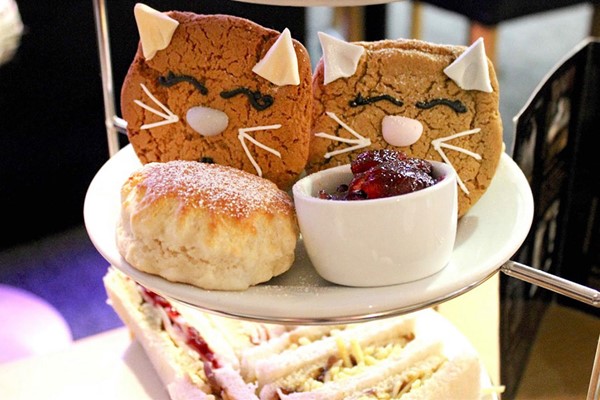 Afternoon Tea with Bottomless Prosecco at Whiskers and Cream Afternoon Tea with Bottomless Prosecco at Whiskers and Cream