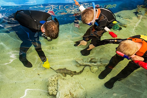 Family Snorkelling and Entry at Skegness Aquarium Family Snorkelling and Entry at Skegness Aquarium