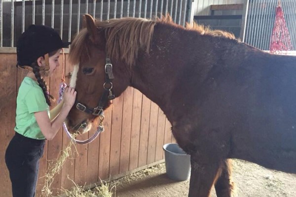 One Hour Horse Riding Experience - UK Wide