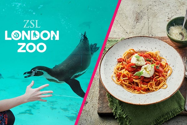 ZSL London Zoo Entry and Three Course Meal for Two at Zizzi ZSL London Zoo Entry and Three Course Meal for Two at Zizzi