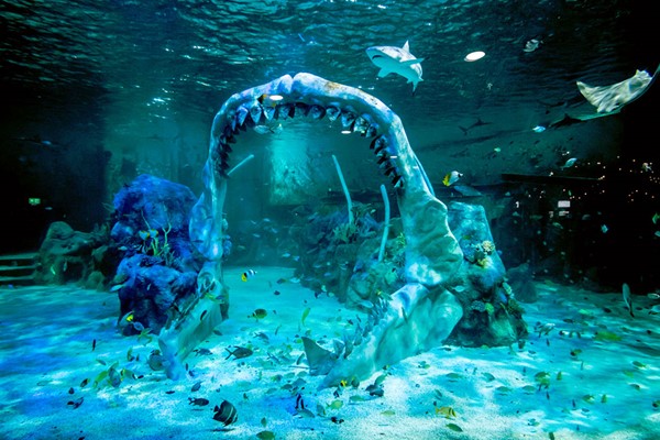 The Bear Grylls Adventure Basecamp and Snorkel Experience for Two The Bear Grylls Adventure Basecamp and Snorkel Experience for Two
