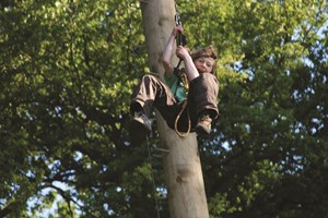 Adult High Ropes Adventure, Norfolk