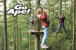Tree Top Adventure for One Adult and Two Children at Go Ape