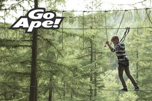Tree Top Adventure in London for One Child