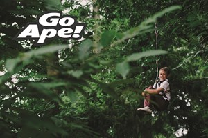 Junior Tree Top Adventure in London for One Child