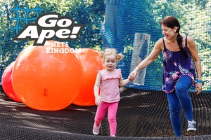 Nets Kingdom Experience for One Adult and One Toddler at Go Ape