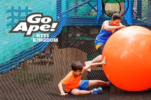 Nets Kingdom Experience for One Adult and One Child at Go Ape
