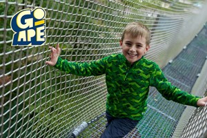 Nets Kingdom Experience for One at Go Ape