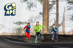 Nets Kingdom Experience for One Adult and One Child at Go Ape