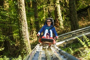 Zip World Fforest Coaster Ride Experience