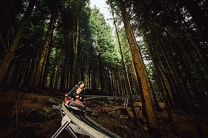Zip World Fforest Coaster Ride Experience Special Offer
