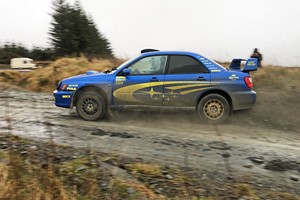 Forest Rally Experience for One in Wales