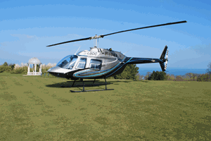 Blue Skies 25 Mile Helicopter Tour with Bubbly for Two
