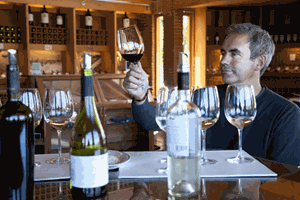2 for 1 Matching Food and Wine Workshop Special Offer