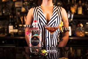 Gin Masterclass for Two at MAP Maison