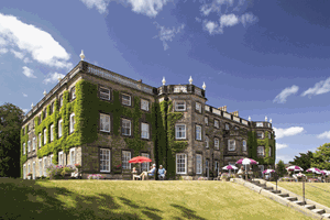 Food and Drink hotel