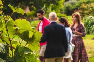 Vineyard Tour and Wine Tasting for Two at Bolney Wine Estate