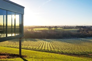 Wine Tour and Tasting with Fizz at Hencote for Two