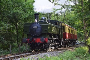 Chigwell Tours Self-Guided Vintage Bus and Steam Train Tour for Two