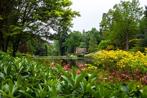 Wine Tasting and Garden Entry for Two at Leonardslee Lakes and Gardens