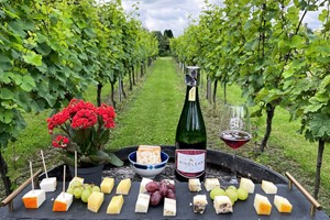 Cheese and Wine Tour with a Tasting for Two at Bluebell Vineyard Estates