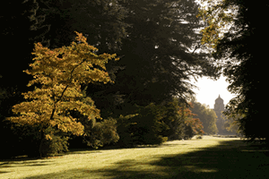 Two Night Break with Entry to Westonbirt at Best Western Mayfield House Hotel
