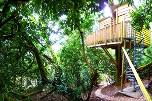 Two Night Stay in The Nest Tree House