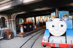 Drayton Manor Park Tickets with Lunch for Two Adults and Two Children