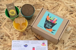 Grow Your Own Veg One Off The Crop Box for an Adult or Child
