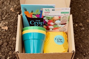 12 Month Subscription to Grow Your Own Vegetables by The Crop Box for One Adult or Child