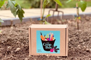 12 Month Subscription to Grow Your Own Vegetables by The Crop Box for One Adult or Child
