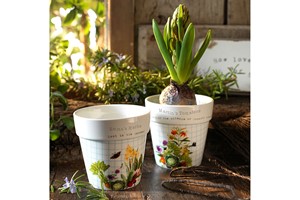 Set of Customised Royal Horticultural Society Planters