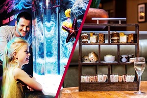 SEA LIFE London Aquarium Entry with Afternoon Tea for Two at Mr White's by Marco Pierre White