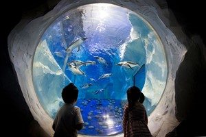 SEA LIFE Birmingham Entry for Two Adults and Two Children
