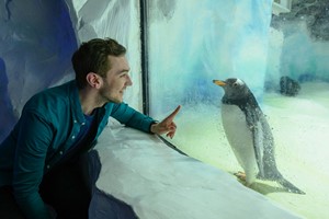 SEA LIFE Birmingham Entry for Two Adults