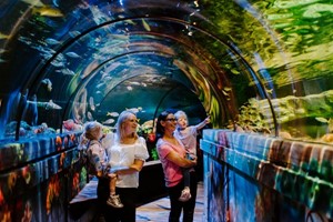 SEA LIFE Brighton Entry for Two Adults and Two Children