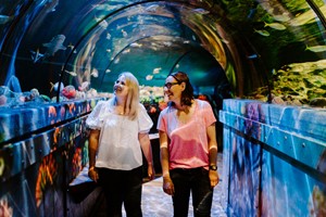 SEA LIFE Brighton Entry for Two Adults
