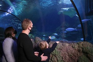 SEA LIFE Manchester Entry for Two Adults