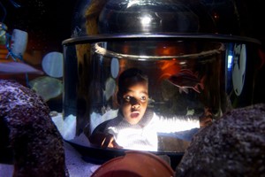 SEA LIFE Manchester Entry for Two Adults and Two Children