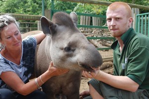 Tickle a Tapir Experience for Two at Paradise Wildlife Park