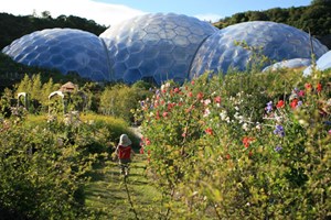 Chocolate Flavoured Rainforest Private Tour for Two at The Eden Project