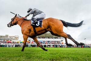 Classic Day at the Races with Lunch