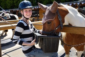 Western Working Day Experience