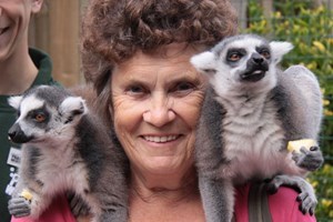 Meet the Lemurs Experience at Paradise Wildlife Park
