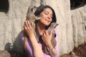 Meet the Meerkats Experience at Paradise Wildlife Park