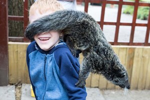 2 for 1 Binturong Experience for Two at Hoo Farm Animal Kingdom