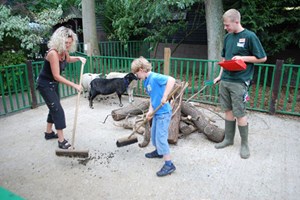 Zookeeper Experience at Paradise Wildlife Park for One Adult and One Child